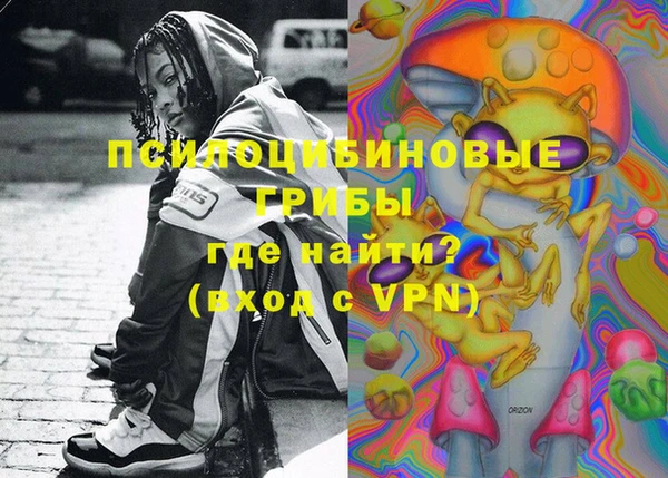 твердый Заводоуковск
