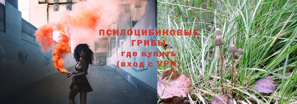 прущий лед Елизово