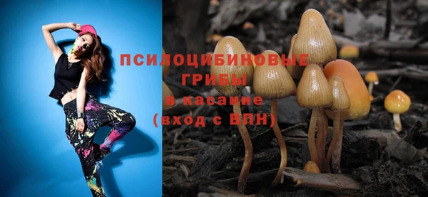 бутират Ельня