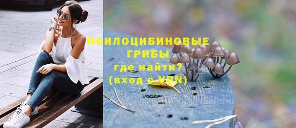 твердый Заводоуковск