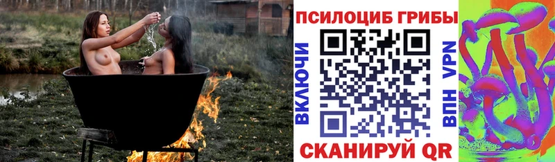 Купить где  Томари  Псилоцибиновые грибы Magic Shrooms 